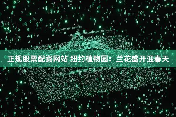 正规股票配资网站 纽约植物园:兰花盛开迎春天